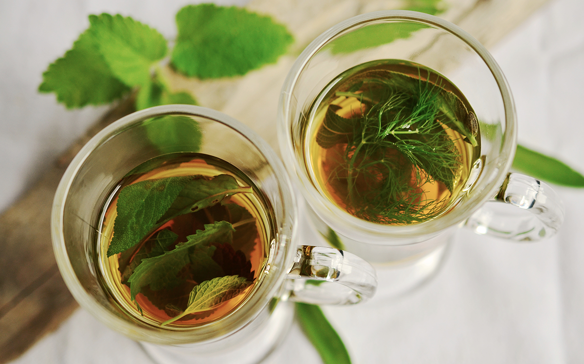 herbal tea herbs tee mint 159203