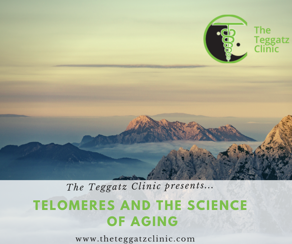 Telomeres and the Science of Aging 6452a8f249490.png